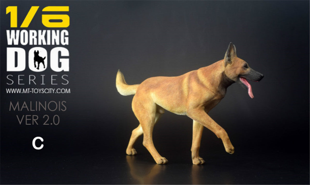1/6 Working Belgian Malinois Figure