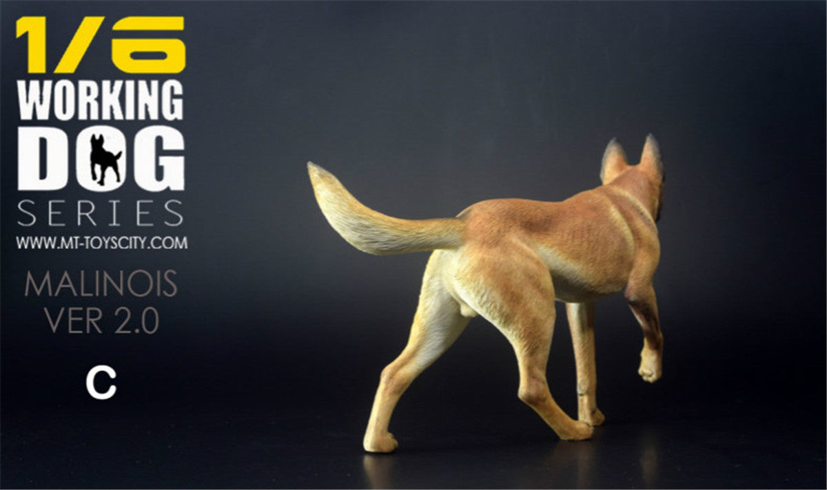 1/6 Working Belgian Malinois Figure
