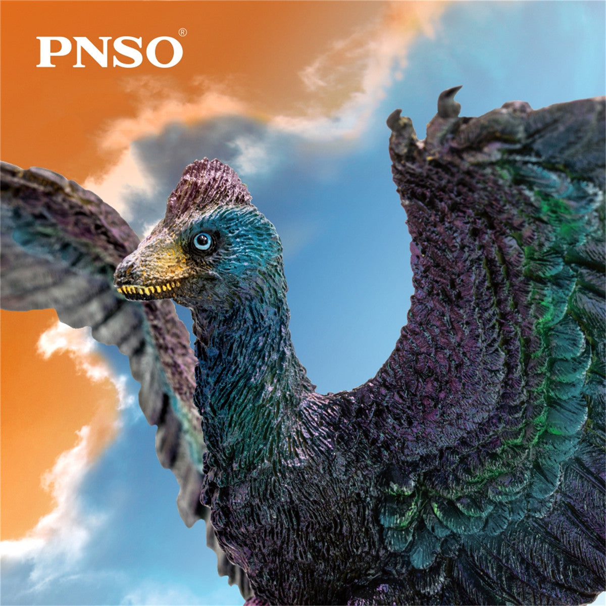 PNSO Microraptor Model
