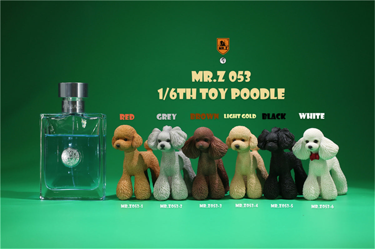 Mr.Z 1/6 Toy Poodle Dog Figure