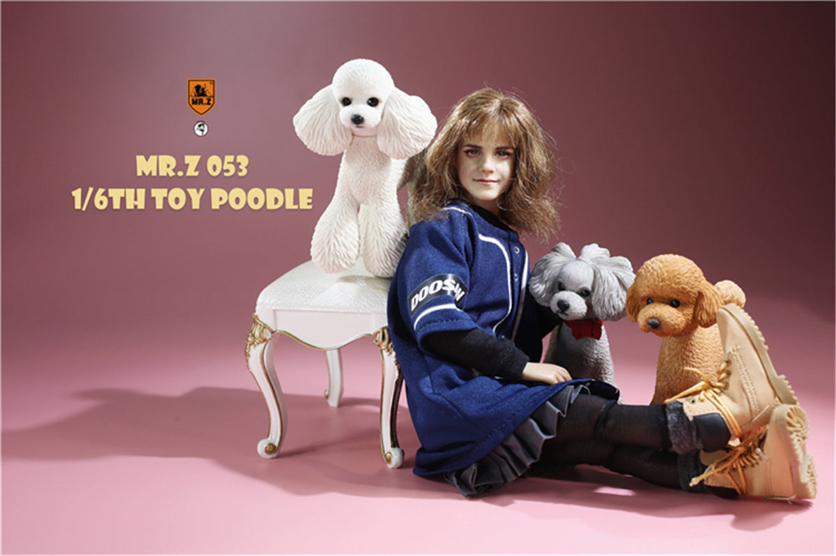 Mr.Z 1/6 Toy Poodle Dog Figure