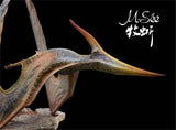 MuSee Studio 1/10 Pteranodon Statue