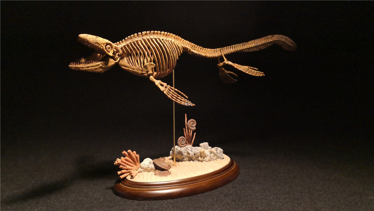 1/25 Mosasaurus Skeleton Model