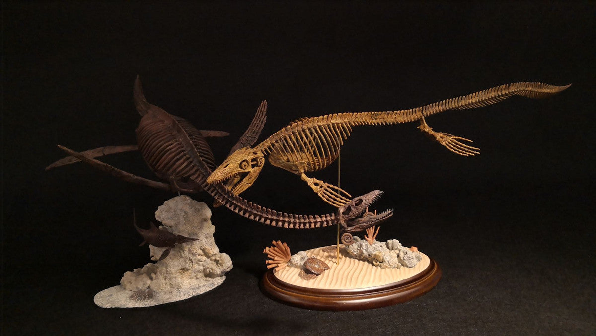 1/25 Mosasaurus Skeleton Model