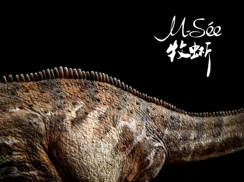 MuSee Studio 1/35 Diplodocus carnegiei Scene Statue