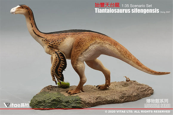 Vitae 1/35 Tiantaiosaurus sifengensis Dong A Figure