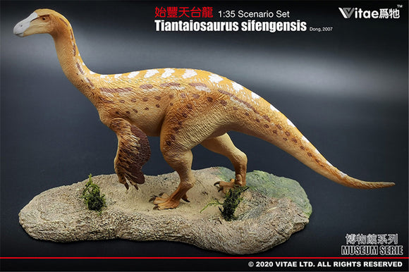 Vitae 1/35 Tiantaiosaurus sifengensis Dong B Figure