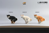 JXK 1/6 Shiba Inu Dog Figure