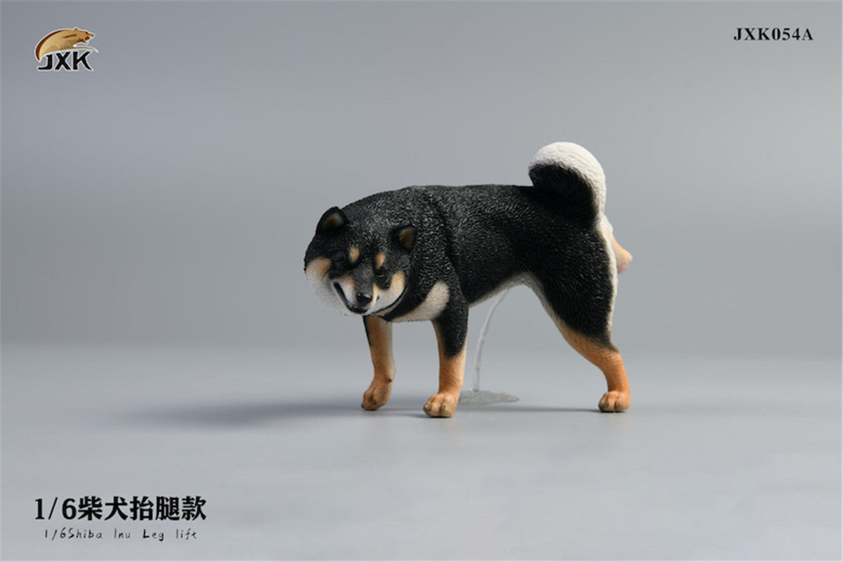 JXK 1/6 Shiba Inu Dog Figure