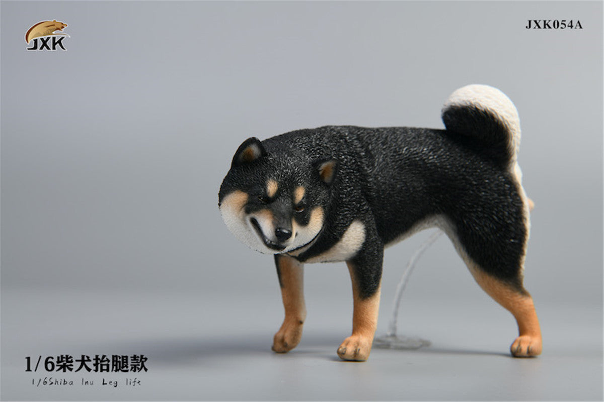 JXK 1/6 Shiba Inu Dog Figure