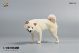 JXK 1/6 Shiba Inu Dog Figure