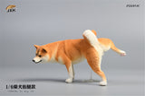 JXK 1/6 Shiba Inu Dog Figure