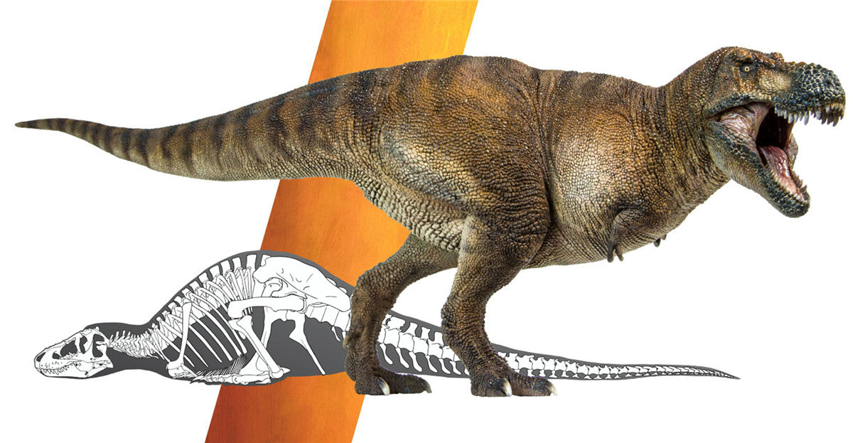 PNSO 1/35 Wilson Tyrannosaurus Rex Figure