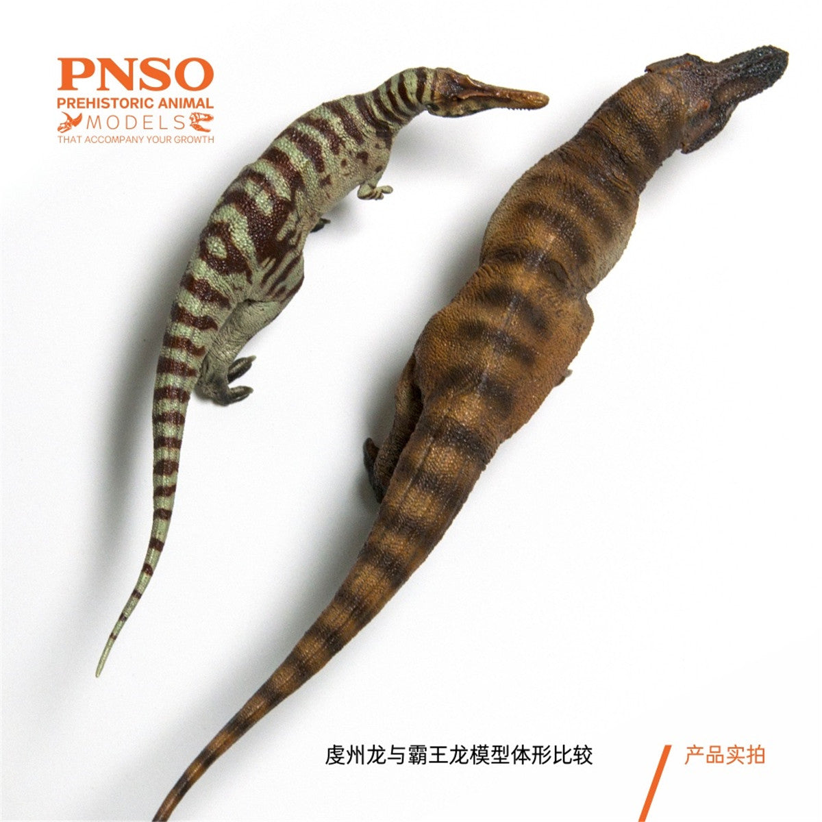 PNSO Qianzhousaurus Sinensis Model