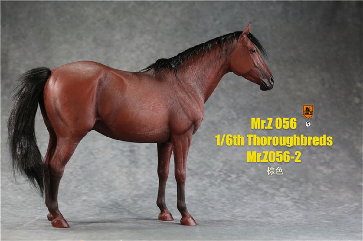 Mr.z 1/6th Thoroughbreds Figure