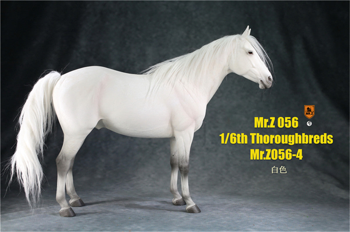 Mr.z 1/6th Thoroughbreds Figure