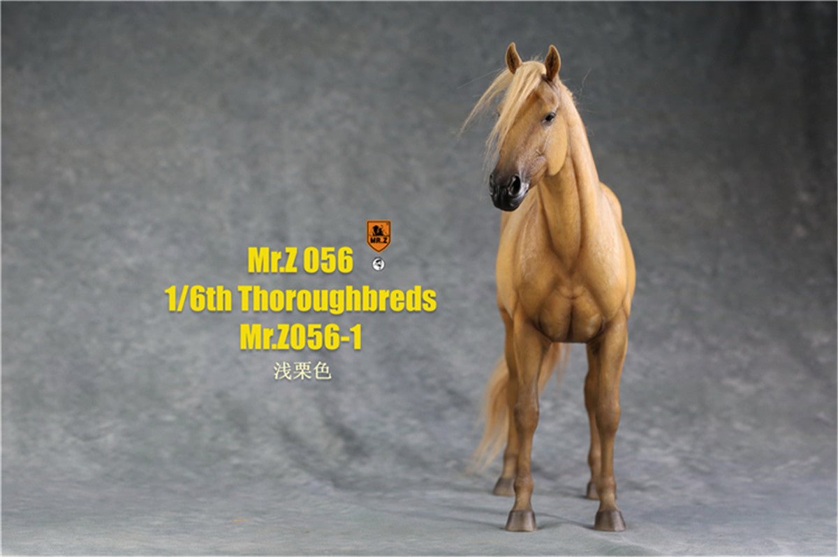 Mr.z 1/6th Thoroughbreds Figure