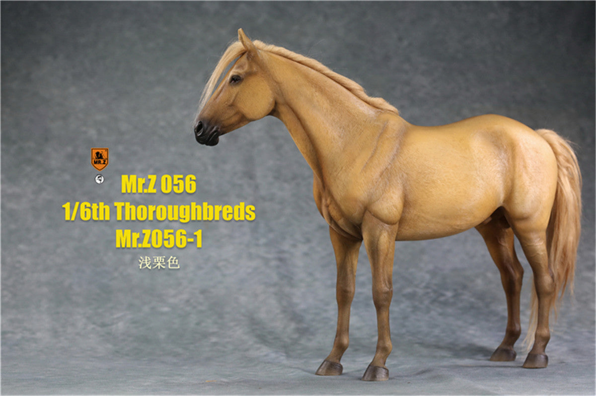 Mr.z 1/6th Thoroughbreds Figure