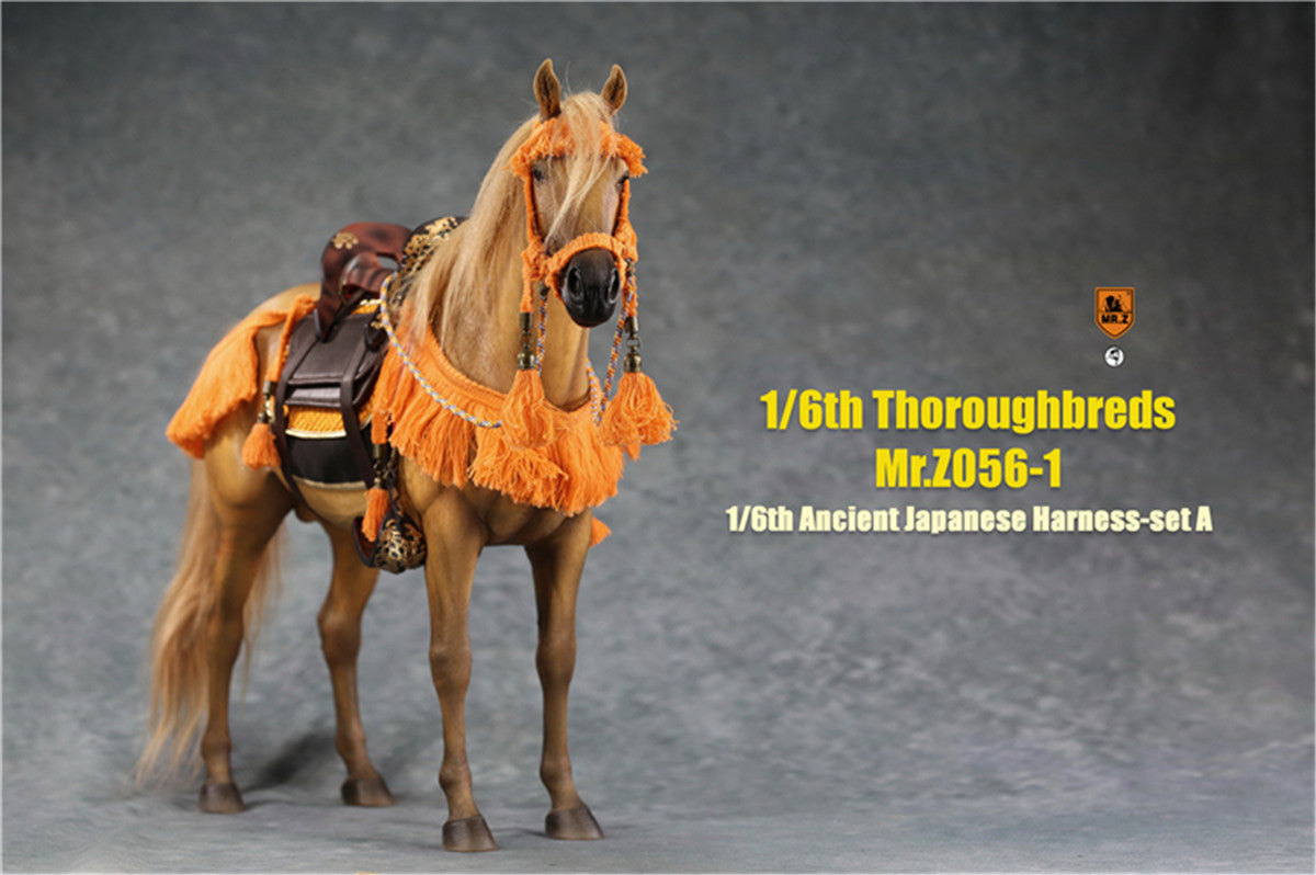 Mr.z 1/6th Thoroughbreds Figure