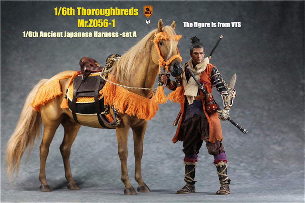 Mr.z 1/6th Thoroughbreds Figure