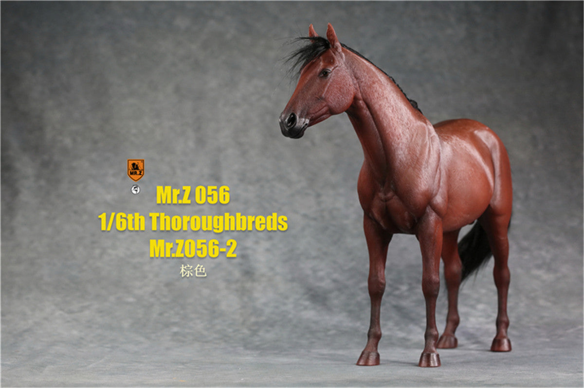 Mr.z 1/6th Thoroughbreds Figure