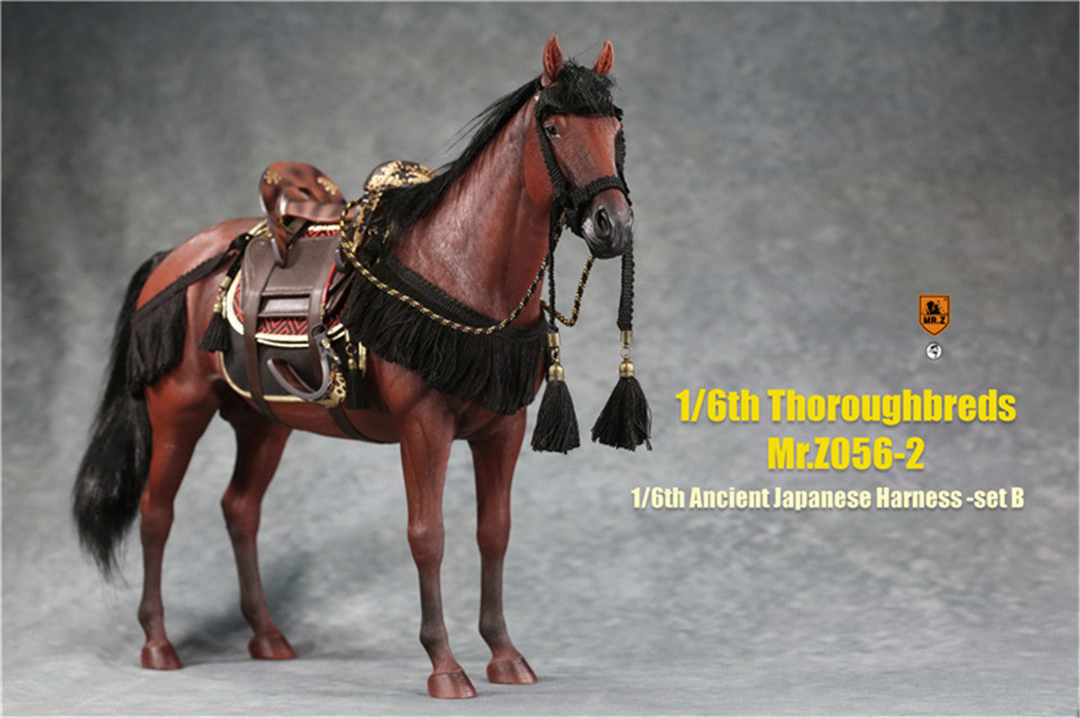 Mr.z 1/6th Thoroughbreds Figure