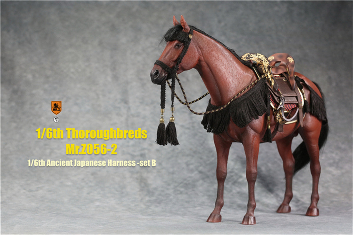 Mr.z 1/6th Thoroughbreds Figure
