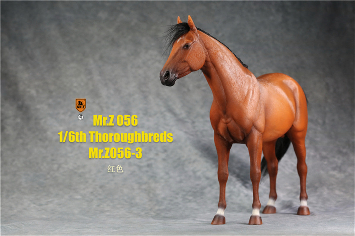 Mr.z 1/6th Thoroughbreds Figure