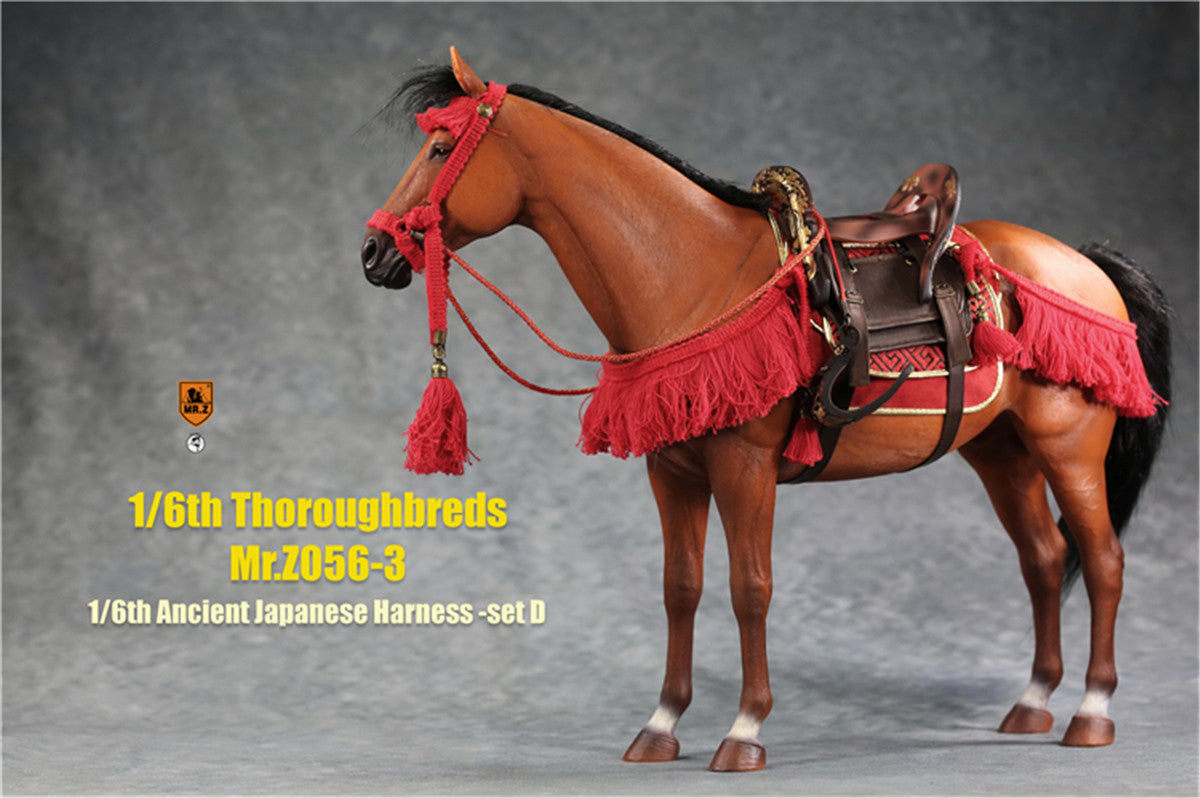 Mr.z 1/6th Thoroughbreds Figure