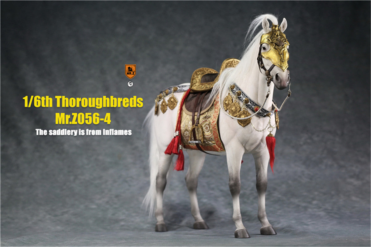 Mr.z 1/6th Thoroughbreds Figure