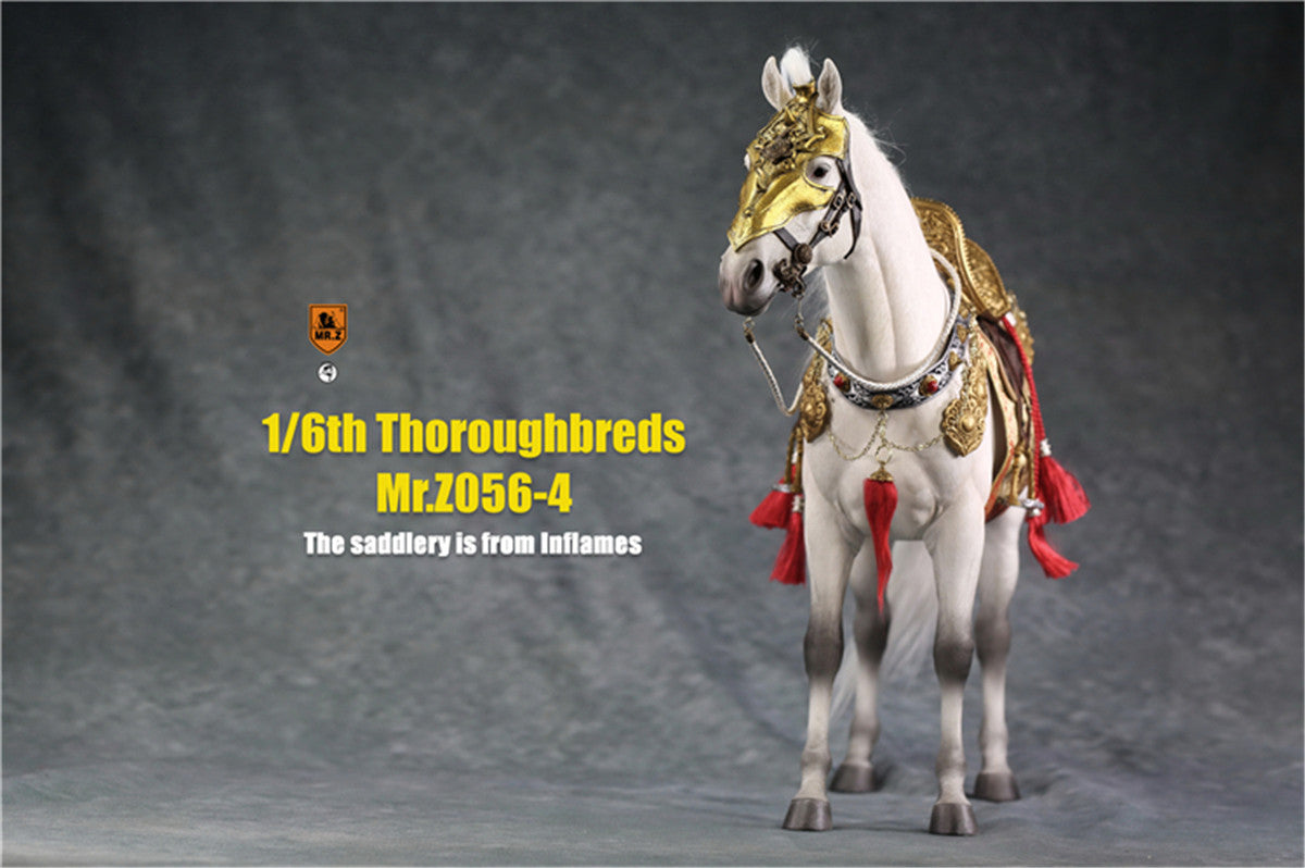 Mr.z 1/6th Thoroughbreds Figure