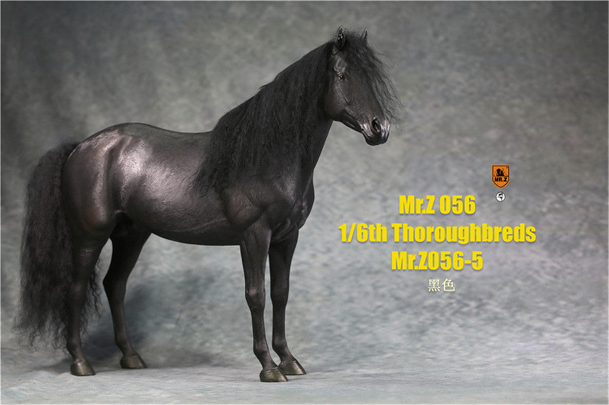 Mr.z 1/6th Thoroughbreds Figure