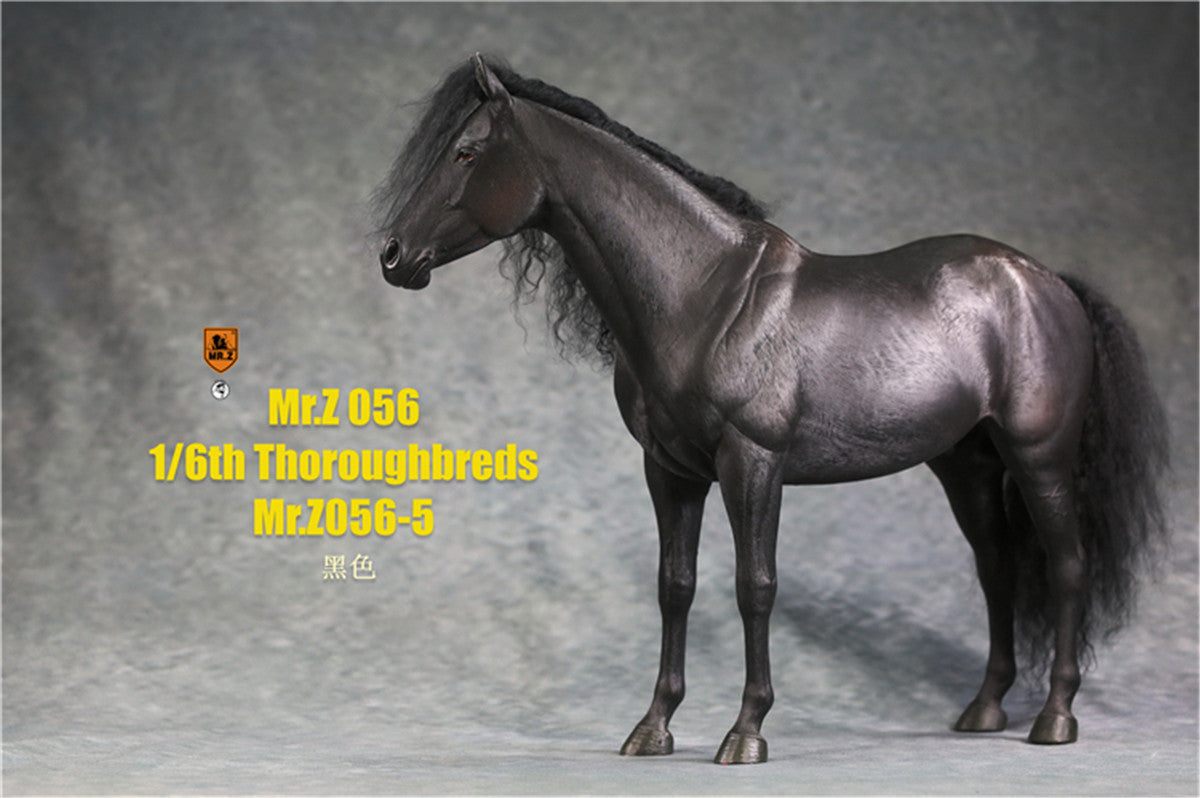 Mr.z 1/6th Thoroughbreds Figure
