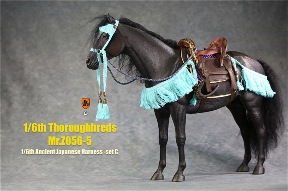 Mr.z 1/6th Thoroughbreds Figure