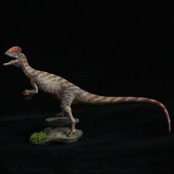 1/35 Dilophosaurus wetherelli Model