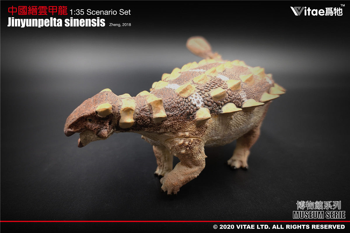 Vitae 1/35 Jinyunpelta sinensis Model