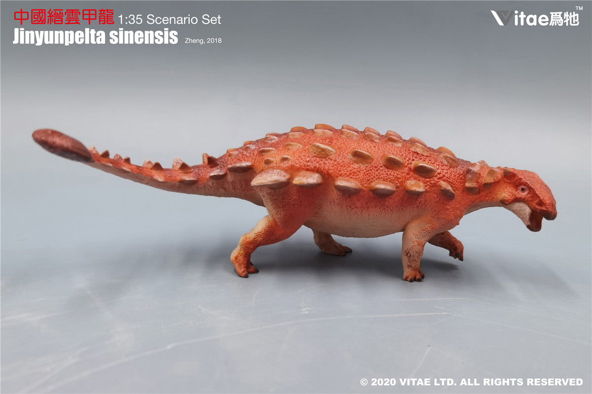 Vitae 1/35 Jinyunpelta sinensis Model