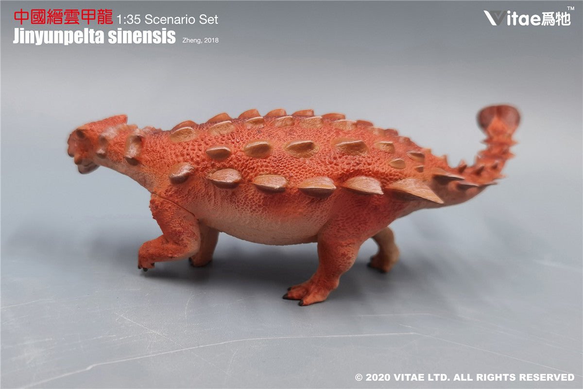 Vitae 1/35 Jinyunpelta sinensis Model