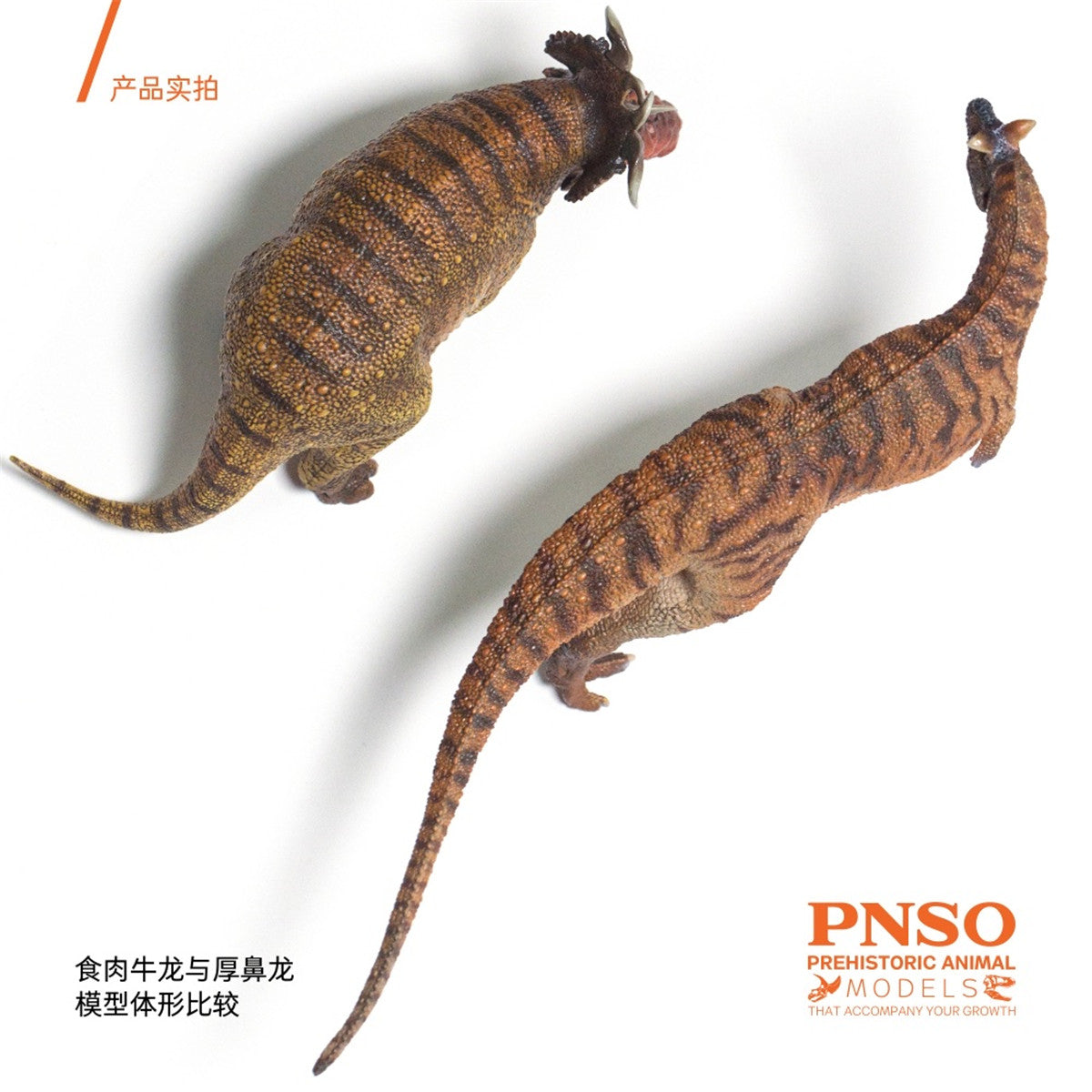 PNSO Carnotaurus Model