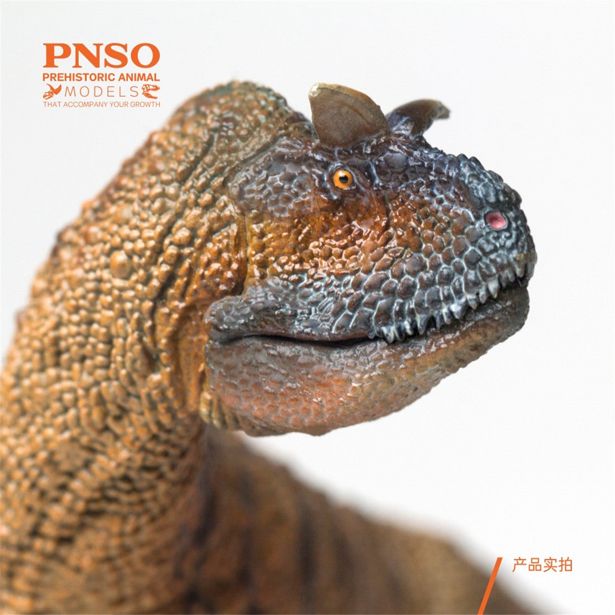 PNSO Carnotaurus Model