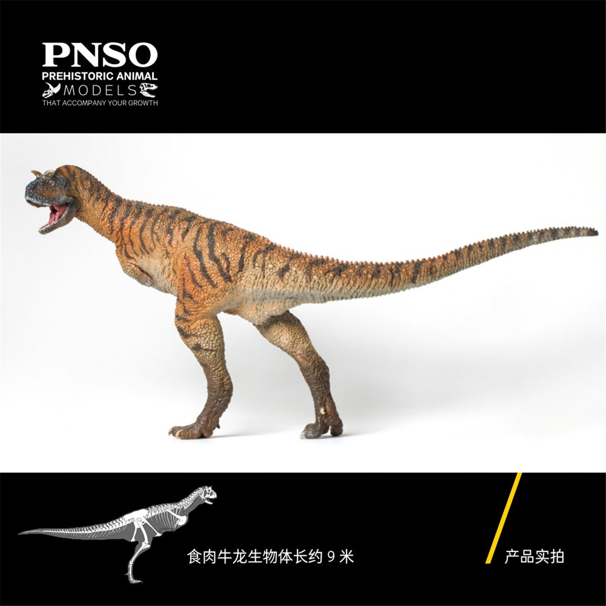 PNSO Carnotaurus Model