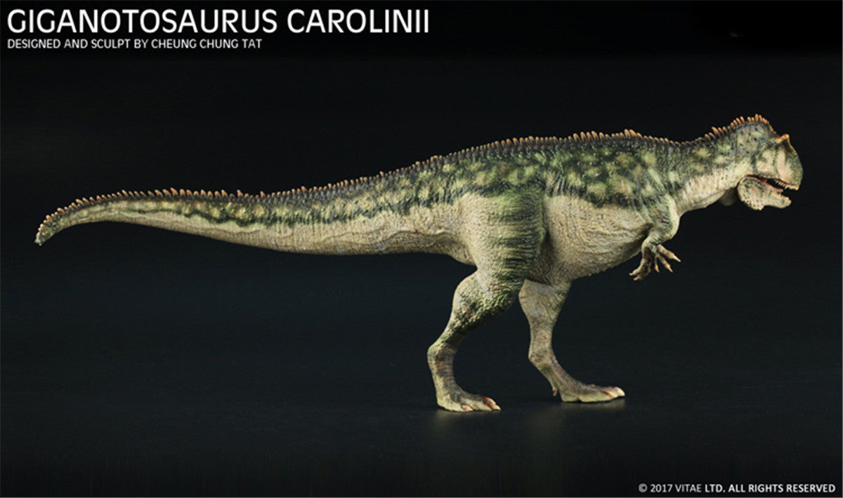 Vitae 1/35 Giganotosaurus carolinii Figure