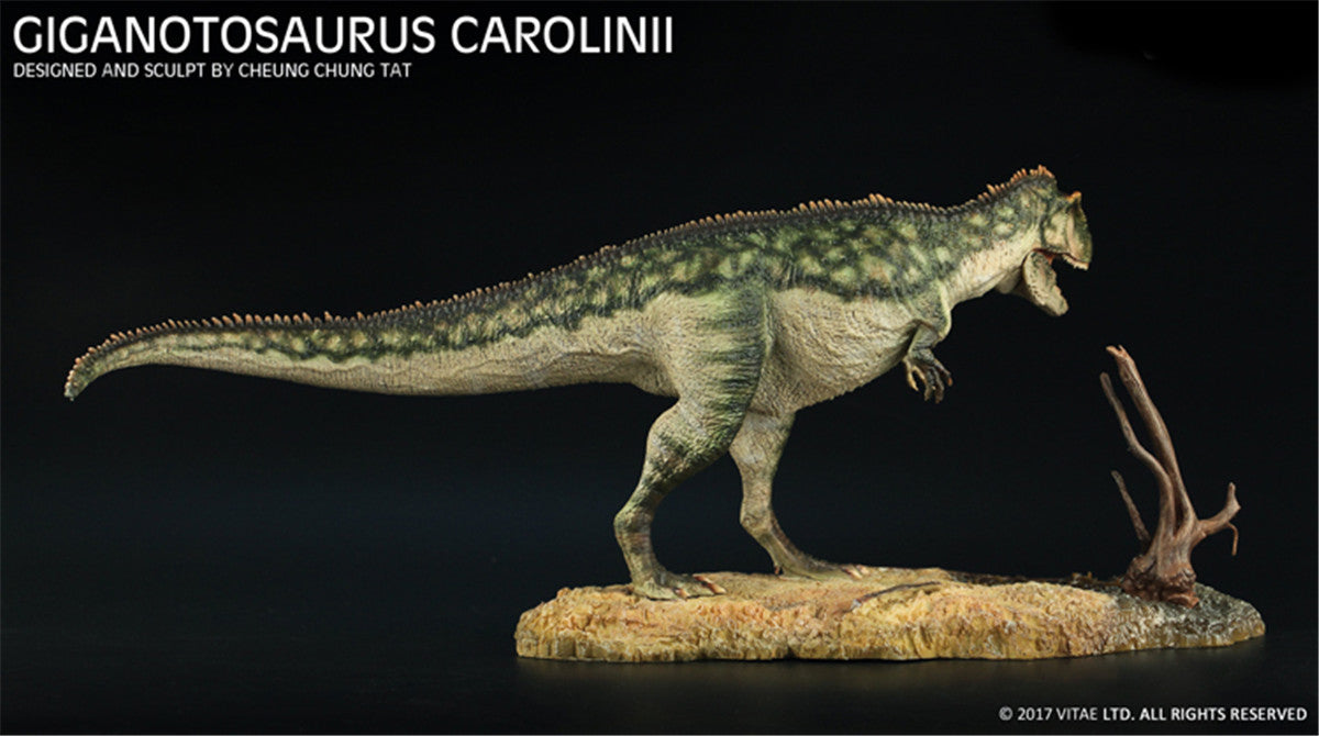 Vitae 1/35 Giganotosaurus carolinii Figure
