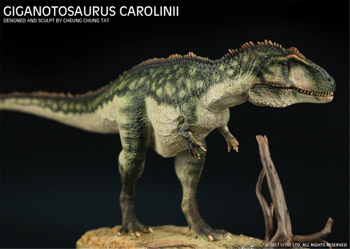 Vitae 1/35 Giganotosaurus carolinii Figure