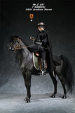Mr.Z 1/6 Arabian Horse Model