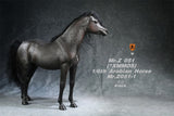 Mr.Z 1/6 Arabian Horse Model