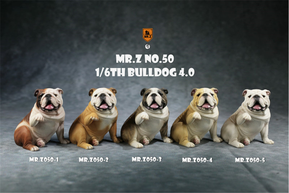 Mr.Z 1/6 British Bulldog V4.0