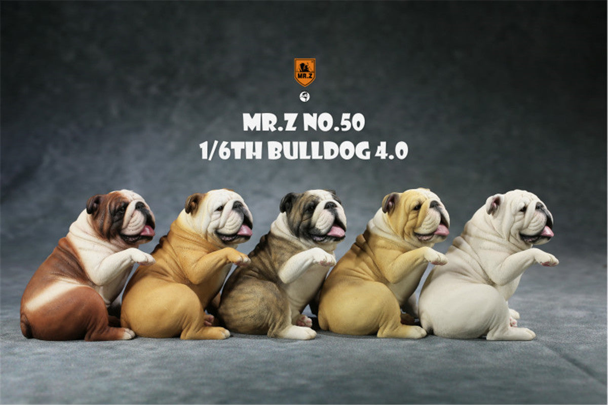 Mr.Z 1/6 British Bulldog V4.0