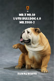 Mr.Z 1/6 British Bulldog V4.0