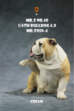 Mr.Z 1/6 British Bulldog V4.0